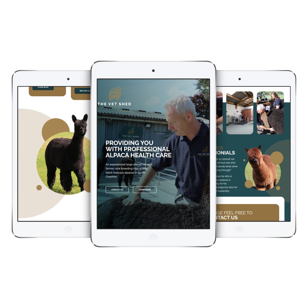 Affordable Website Designs